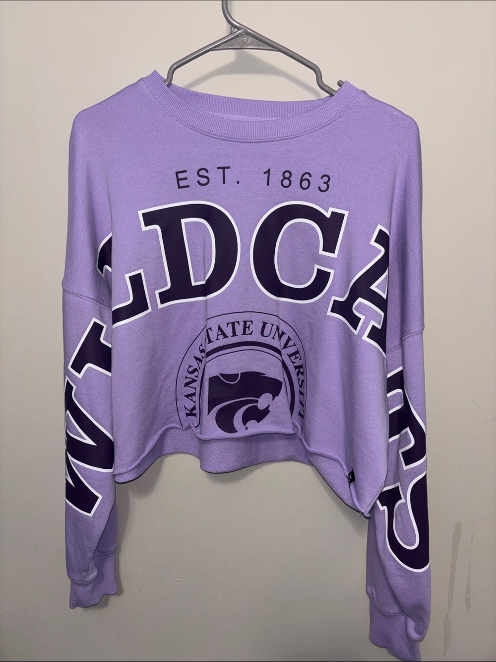 Lavender Cropped Sweatshirt